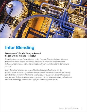 th Infor Blending Brochure German 457px