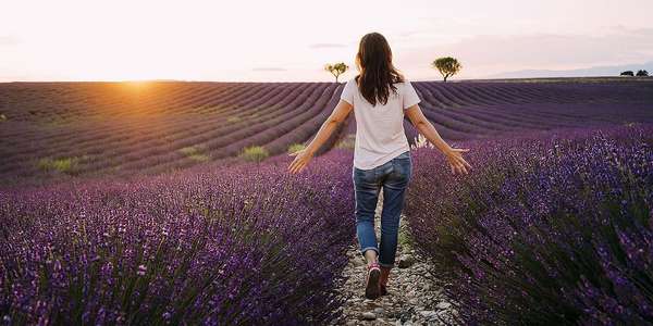 Flowers woman blossoms lavender field sunset