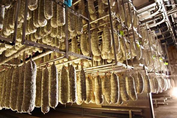 Curing sausages