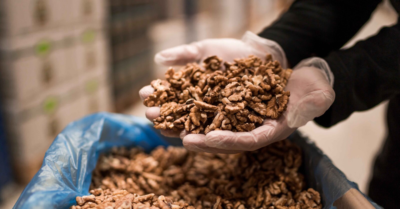 handful of walnuts above box of walnuts in warehouse