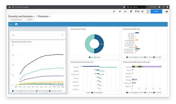 Diversity-Dashboard