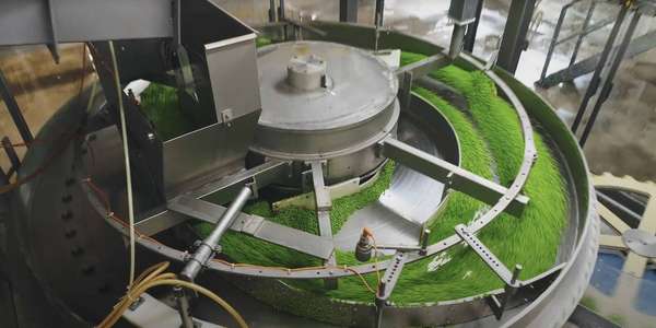 factory machine green ingredients