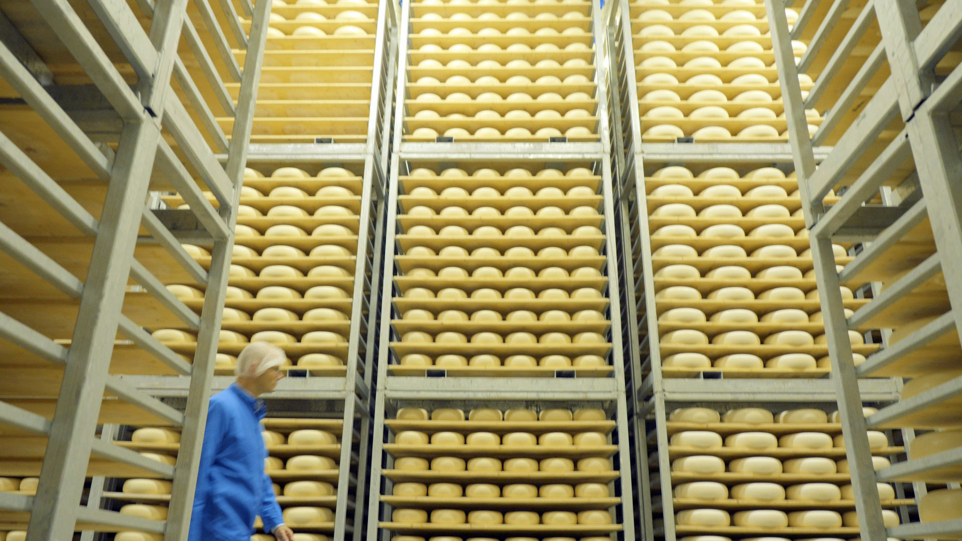 Amalthea cheese aging room